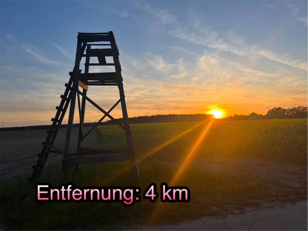 Wormis Apartment Heideblick Bei Luckau Zewnętrze zdjęcie